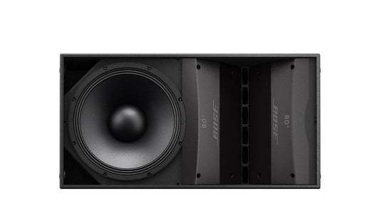 Bose AM10/80 ArenaMatch Outdoor Loudspeaker