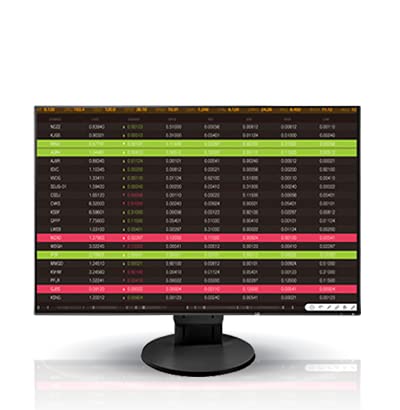 Eizo FlexScan LED LCD 24.1" Professional IPS Monitor 1920 x 1200 (EV2456FX-BK)